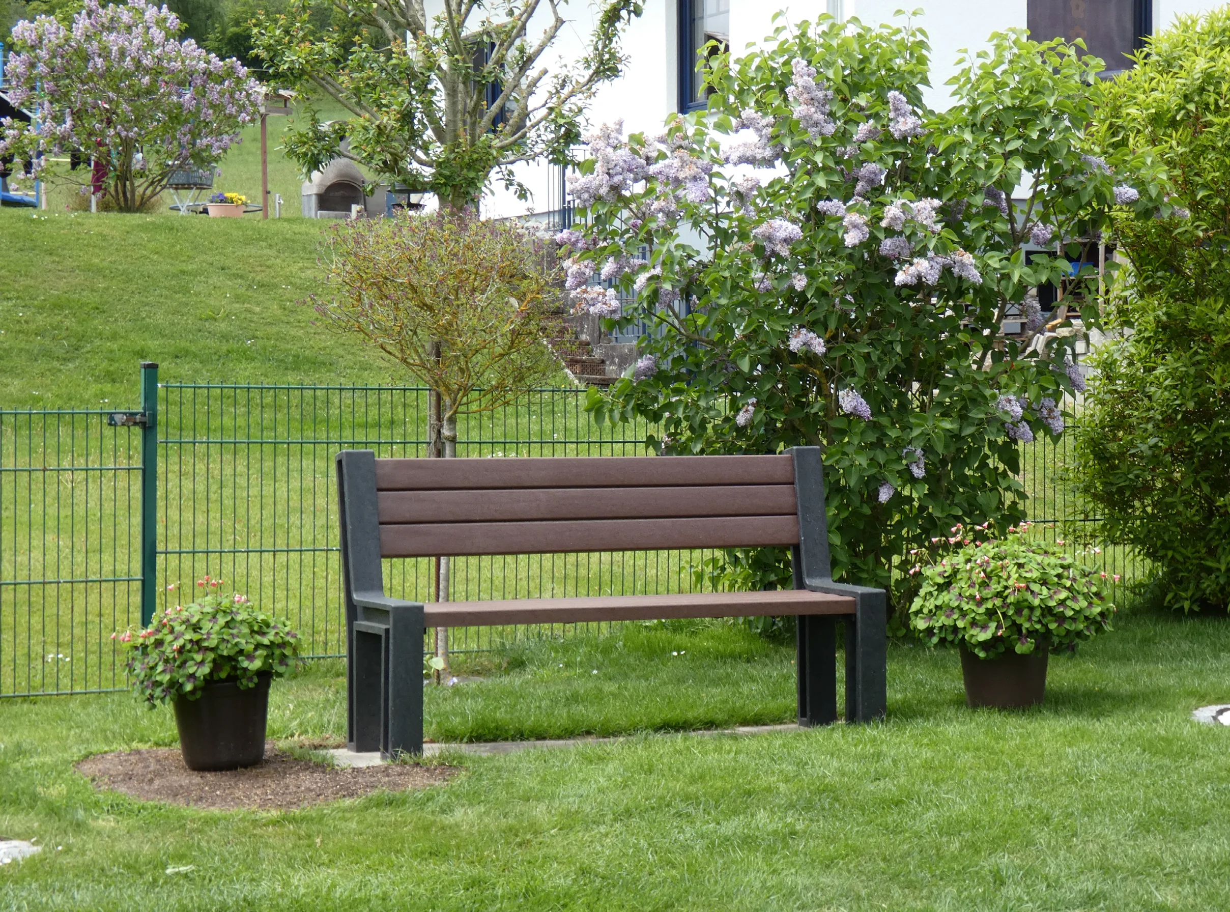 hanit Hyde Park bench